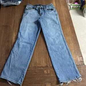 Judy Blue Dad Jean 28